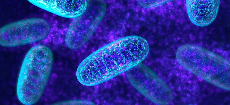 Boost Your Cells’ Powerhouse: 10 Ways to Energize Mitochondria