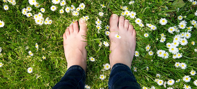 Earthing: The Secret to Fighting Disease